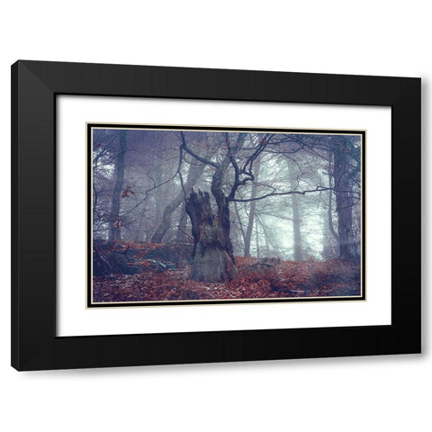 Celtic Guardian Black Modern Wood Framed Art Print with Double Matting by Jenny Rainbow Fine Art