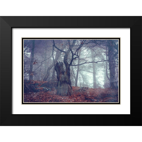 Celtic Guardian Black Modern Wood Framed Art Print with Double Matting by Jenny Rainbow Fine Art