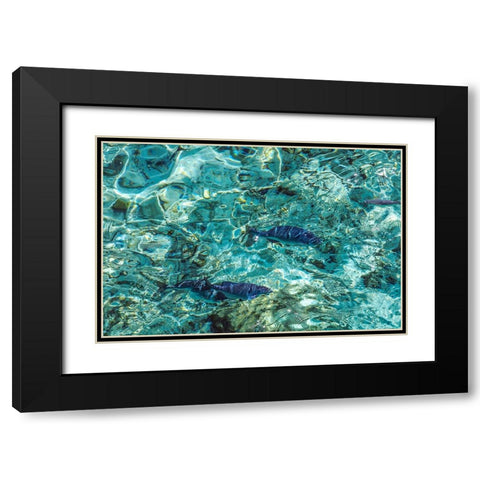 Maldives Fishes in the Clear Water 1 Black Modern Wood Framed Art Print with Double Matting by Jenny Rainbow Fine Art