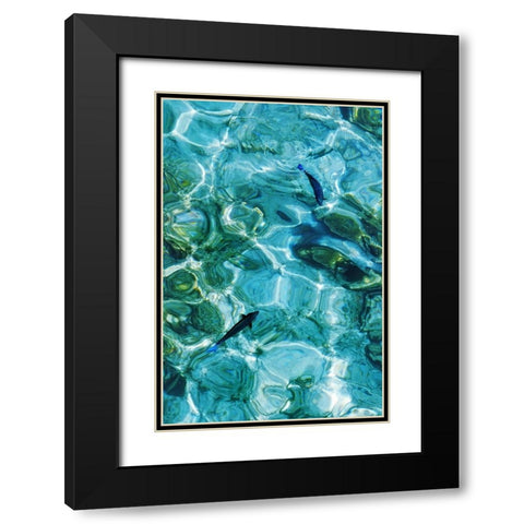 Maldives Fishes in the Clear Water 2 Black Modern Wood Framed Art Print with Double Matting by Jenny Rainbow Fine Art