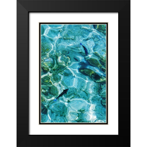 Maldives Fishes in the Clear Water 2 Black Modern Wood Framed Art Print with Double Matting by Jenny Rainbow Fine Art