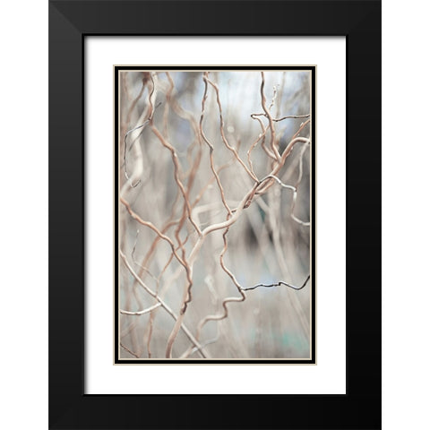 Lost World Black Modern Wood Framed Art Print with Double Matting by Jenny Rainbow Fine Art