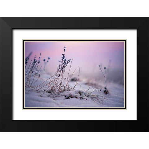 Magic Winter Moments 1 Black Modern Wood Framed Art Print with Double Matting by Jenny Rainbow Fine Art