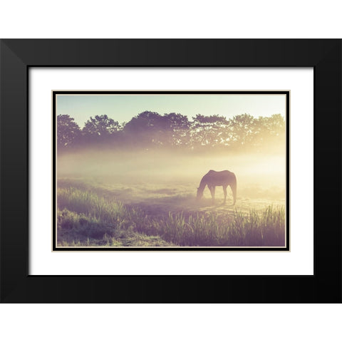 Misty Morning on the Dutch Field Black Modern Wood Framed Art Print with Double Matting by Jenny Rainbow Fine Art