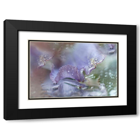 Morning Diamonds Iris Macro 1 Black Modern Wood Framed Art Print with Double Matting by Jenny Rainbow Fine Art