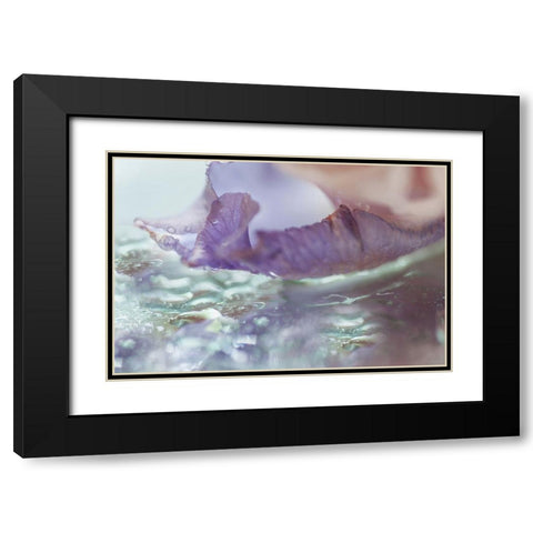 Morning Diamonds Iris Macro 2 Black Modern Wood Framed Art Print with Double Matting by Jenny Rainbow Fine Art