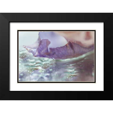 Morning Diamonds Iris Macro 2 Black Modern Wood Framed Art Print with Double Matting by Jenny Rainbow Fine Art