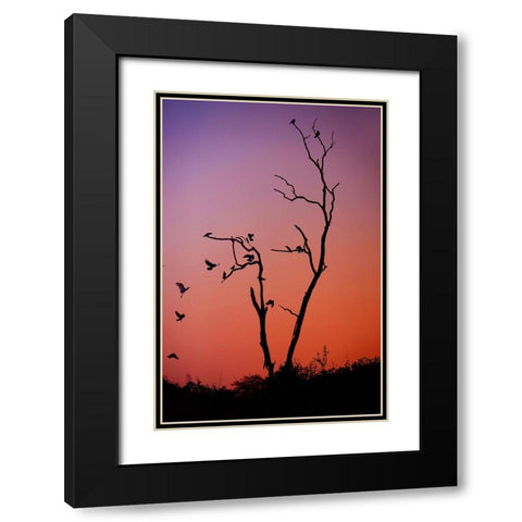 Mysterious Sunset Black Modern Wood Framed Art Print with Double Matting by Jenny Rainbow Fine Art