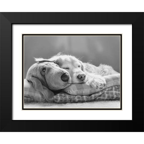 Dog Sleeping with Friend Black Modern Wood Framed Art Print with Double Matting by Schell, Jennie Marie