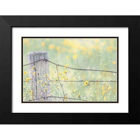 Wildflowers By Fence Post Color Black Modern Wood Framed Art Print with Double Matting by Schell, Jennie Marie