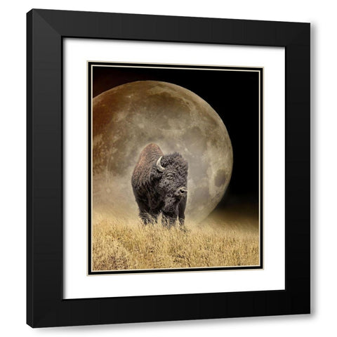 Buffalo Bison and Moon Black Modern Wood Framed Art Print with Double Matting by Schell, Jennie Marie