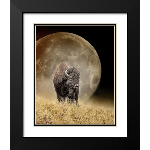 Buffalo Bison and Moon Black Modern Wood Framed Art Print with Double Matting by Schell, Jennie Marie