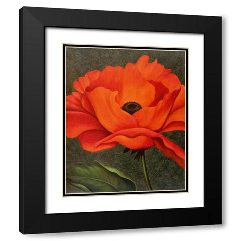 Red Poppy Black Modern Wood Framed Art Print with Double Matting by Zaccheo, John