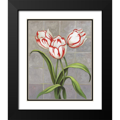 Red-Striped Tulips Black Modern Wood Framed Art Print with Double Matting by Zaccheo, John
