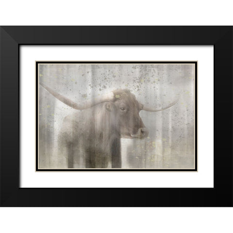 Antique Farm 19 Black Modern Wood Framed Art Print with Double Matting by LightBoxJournal