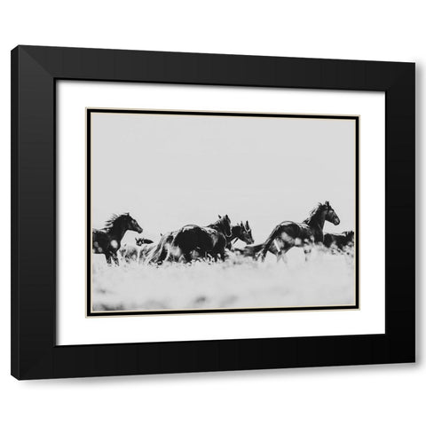 Wild Horses of the Great Basin 00 Black Modern Wood Framed Art Print with Double Matting by LightBoxJournal