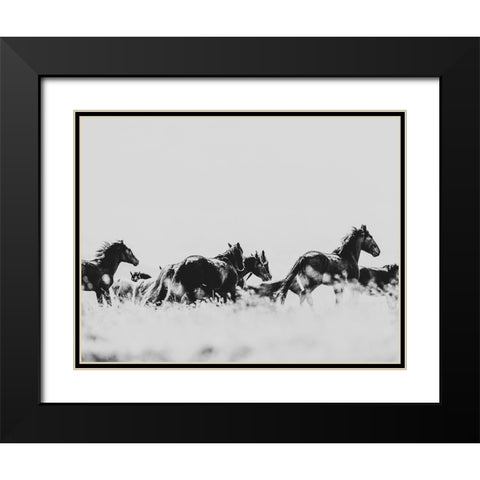 Wild Horses of the Great Basin 00 Black Modern Wood Framed Art Print with Double Matting by LightBoxJournal