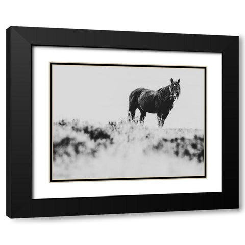 Wild Horses of the Great Basin 01 Black Modern Wood Framed Art Print with Double Matting by LightBoxJournal