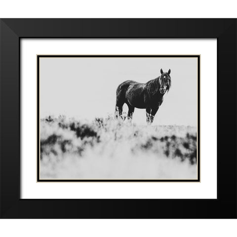 Wild Horses of the Great Basin 01 Black Modern Wood Framed Art Print with Double Matting by LightBoxJournal