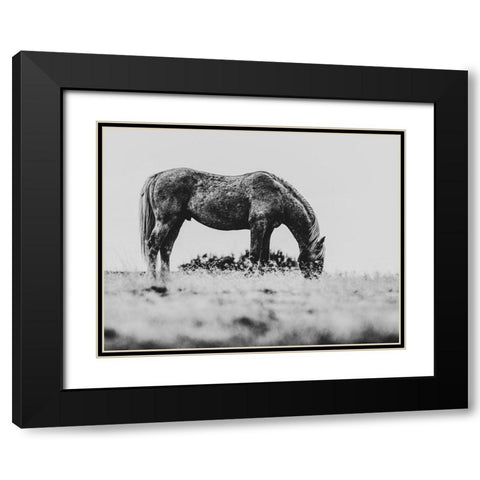 Wild Horses of the Great Basin 03 Black Modern Wood Framed Art Print with Double Matting by LightBoxJournal