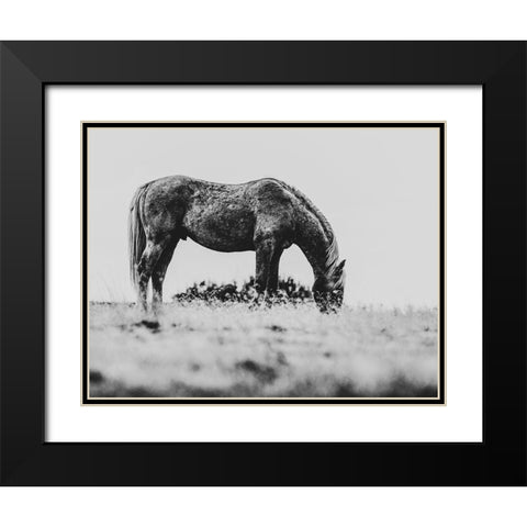 Wild Horses of the Great Basin 03 Black Modern Wood Framed Art Print with Double Matting by LightBoxJournal