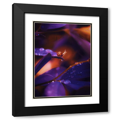 IMG_7588 Black Modern Wood Framed Art Print with Double Matting by Love Grams