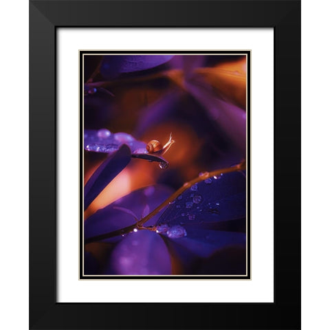 IMG_7588 Black Modern Wood Framed Art Print with Double Matting by Love Grams