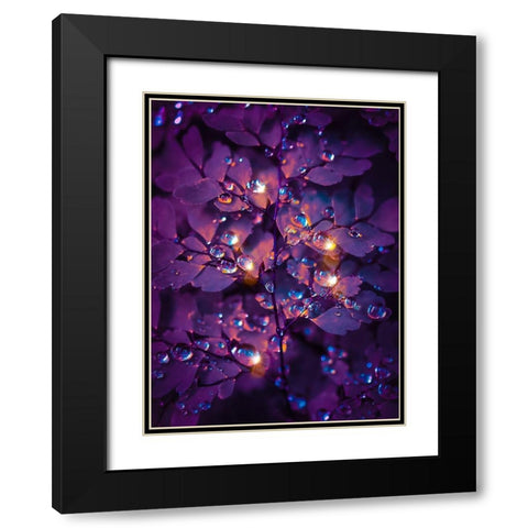 IMG_7591 Black Modern Wood Framed Art Print with Double Matting by Love Grams