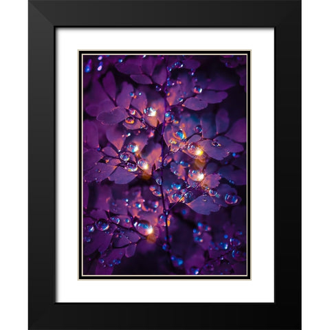 IMG_7591 Black Modern Wood Framed Art Print with Double Matting by Love Grams