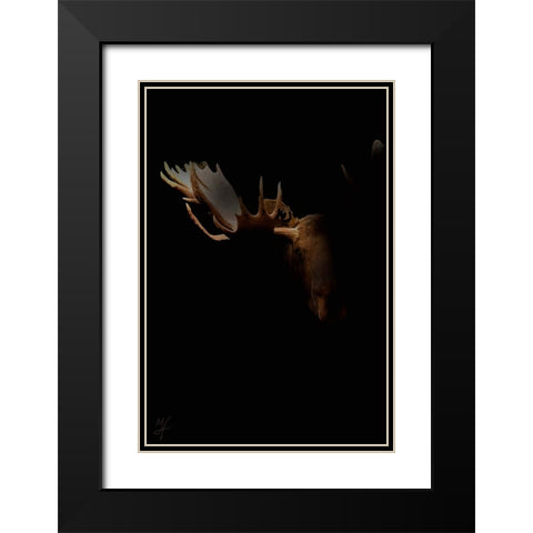 Moose Staredown Black Modern Wood Framed Art Print with Double Matting by Murray Henderson Fine Art
