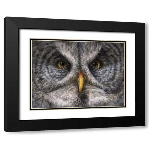 Great Grey Owl Totem Black Modern Wood Framed Art Print with Double Matting by LaMontagne, Patrick