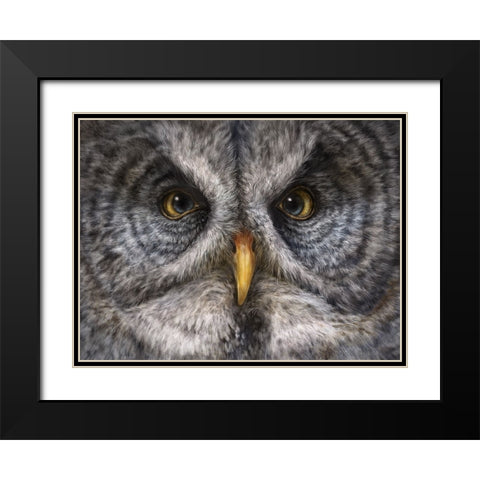 Great Grey Owl Totem Black Modern Wood Framed Art Print with Double Matting by LaMontagne, Patrick