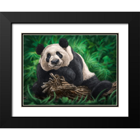 Peaceful Panda Black Modern Wood Framed Art Print with Double Matting by LaMontagne, Patrick