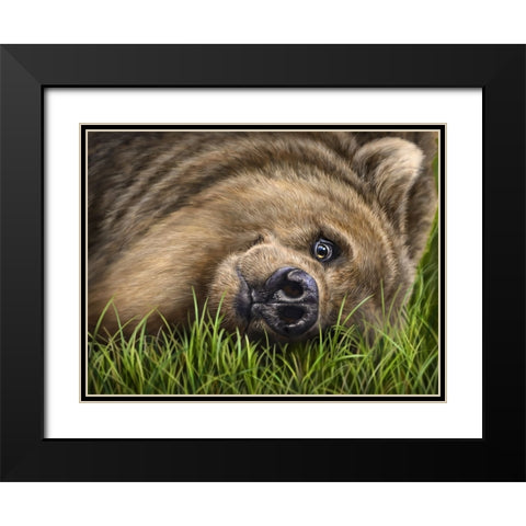 Grizzly on Grass Black Modern Wood Framed Art Print with Double Matting by LaMontagne, Patrick