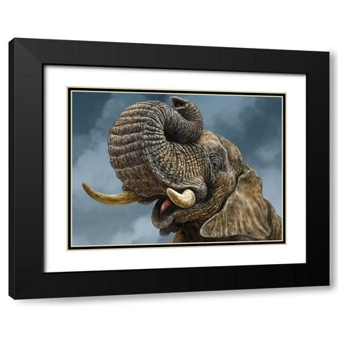 African Elephant Black Modern Wood Framed Art Print with Double Matting by LaMontagne, Patrick