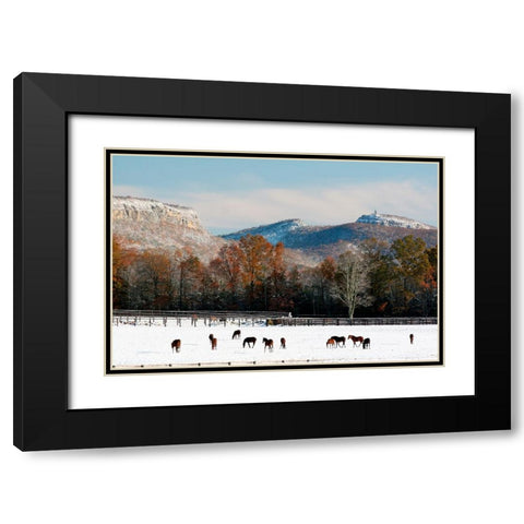 Early Snow Horse Paddock Black Modern Wood Framed Art Print with Double Matting by Goldwitz, Robert