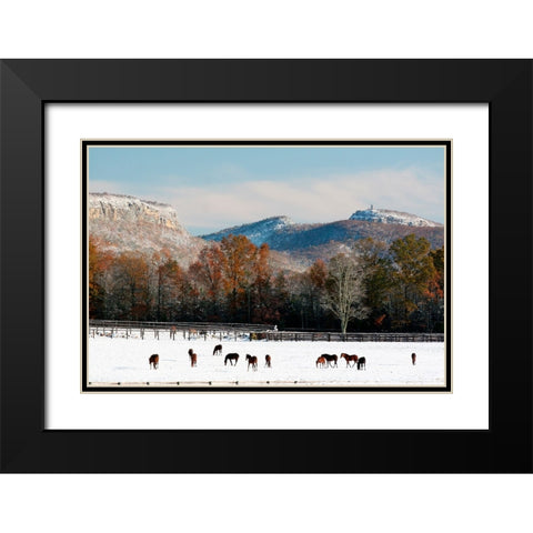 Early Snow Horse Paddock Black Modern Wood Framed Art Print with Double Matting by Goldwitz, Robert