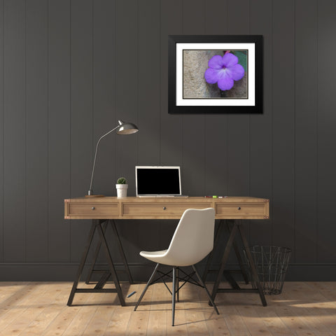 Magic Flower Black Modern Wood Framed Art Print with Double Matting by Bonin, Suzanne