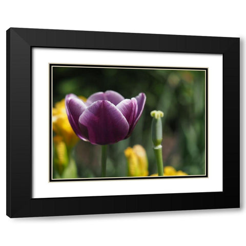 Before After Black Modern Wood Framed Art Print with Double Matting by Bonin, Suzanne