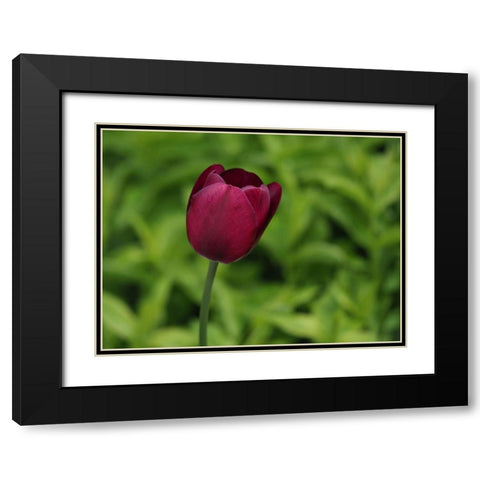 Lady In Red Black Modern Wood Framed Art Print with Double Matting by Bonin, Suzanne