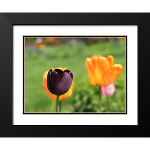 The Queen Black Modern Wood Framed Art Print with Double Matting by Bonin, Suzanne