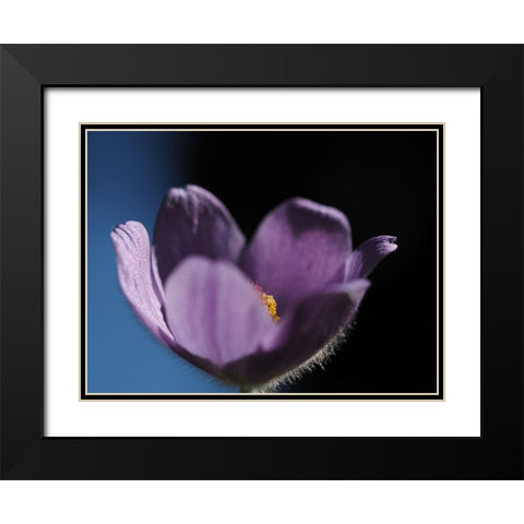 Special One Black Modern Wood Framed Art Print with Double Matting by Bonin, Suzanne