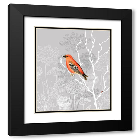 Queen Ann Morning Black Modern Wood Framed Art Print with Double Matting by Lavoie, Tina