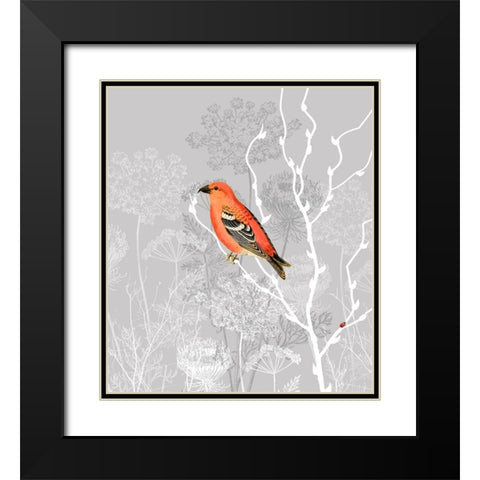 Queen Ann Morning Black Modern Wood Framed Art Print with Double Matting by Lavoie, Tina