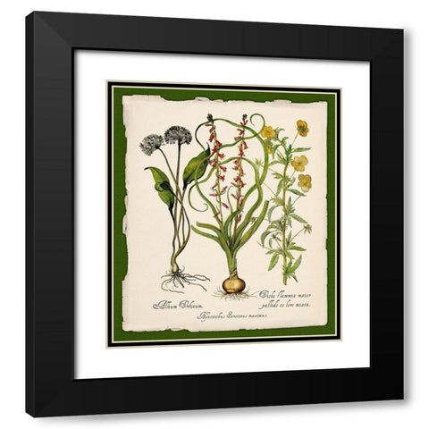 Botanica Nostalgia Black Modern Wood Framed Art Print with Double Matting by Lavoie, Tina