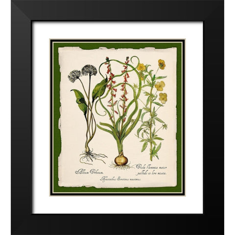 Botanica Nostalgia Black Modern Wood Framed Art Print with Double Matting by Lavoie, Tina