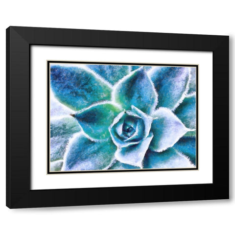 Afternoon Rush Black Modern Wood Framed Art Print with Double Matting by Lavoie, Tina