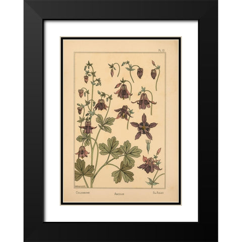Plate 10 - Columbine Black Modern Wood Framed Art Print with Double Matting by Vintage Apple Collection