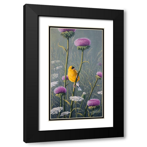 Goldfinch Black Modern Wood Framed Art Print with Double Matting by Goebel, Wilhelm