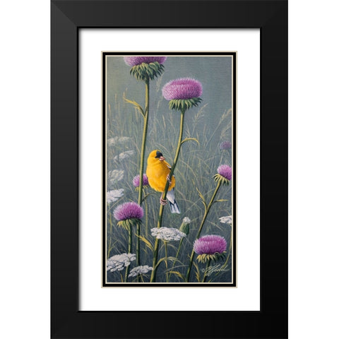 Goldfinch Black Modern Wood Framed Art Print with Double Matting by Goebel, Wilhelm